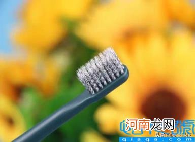 拜尔电动牙刷怎么样 电动牙刷品牌前十名