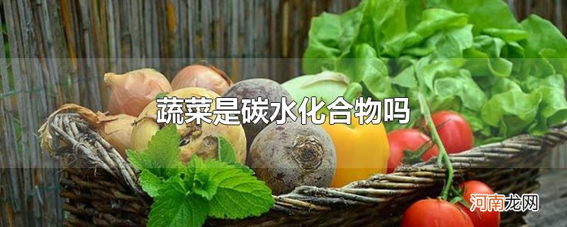 蔬菜是碳水化合物吗