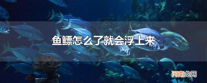 鱼鳔怎么了就会浮上来