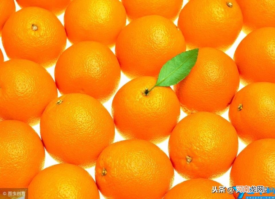 普通桔子皮能做陈皮吗 橘子与桔子有何不同怎么区分-