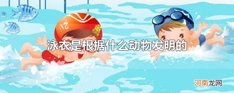 泳衣是根据什么动物发明的