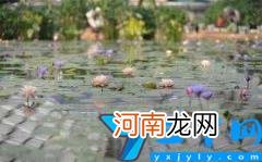 江苏省江阴市概况 江苏省江阴市全国排名情况