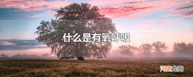 什么是有氧呼吸