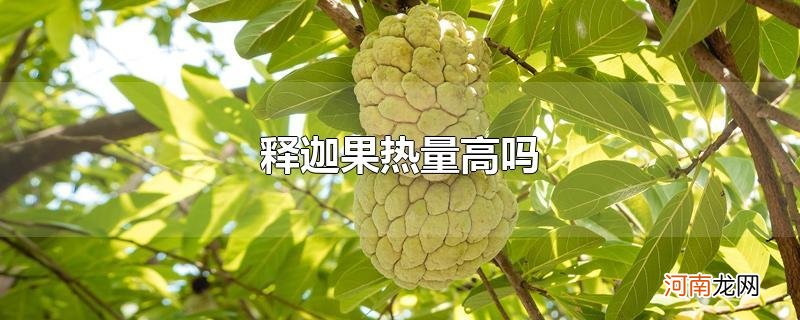 释迦果热量高吗