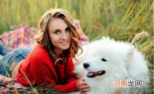 女生第一次养什么狗好 适合女生养的狗狗