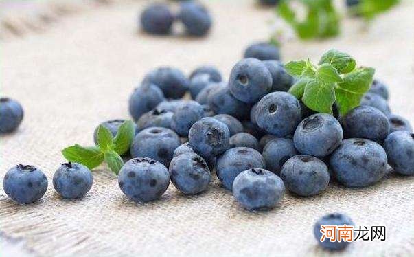 蓝莓一天吃多少为宜 十个月宝宝蓝莓一天吃多少为宜