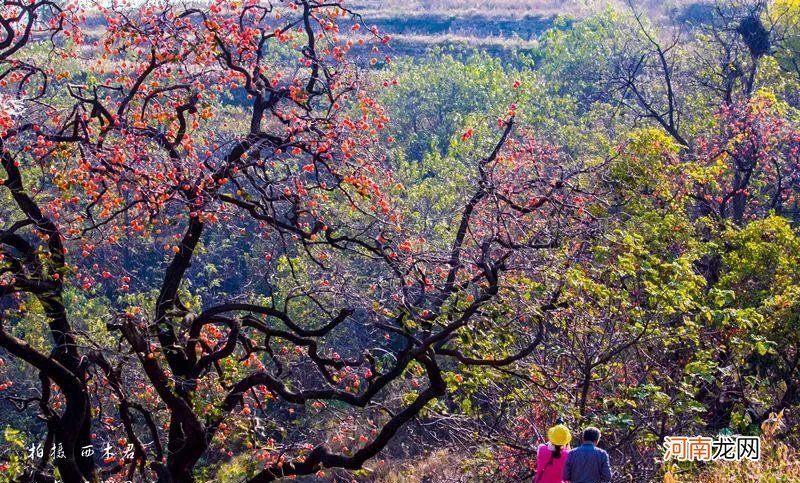 10月最佳旅行目的地 十月份去哪里旅游好