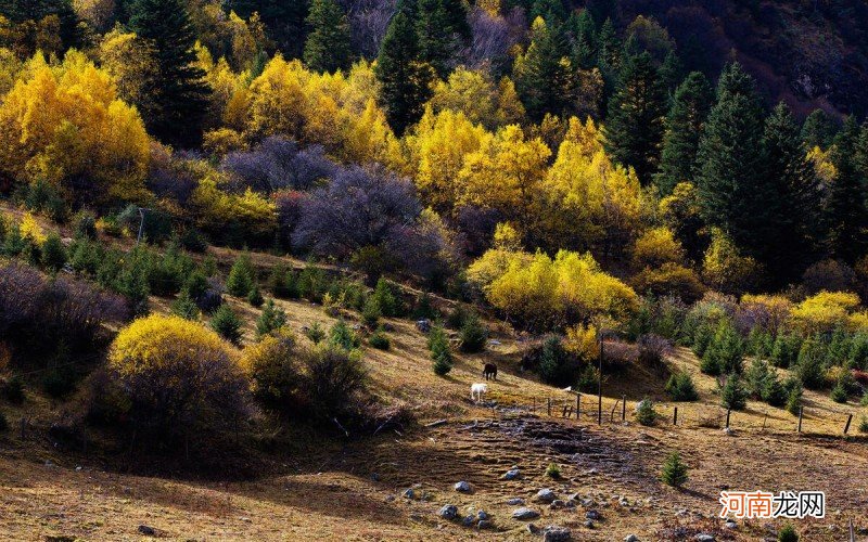 10月最佳旅行目的地 十月份去哪里旅游好