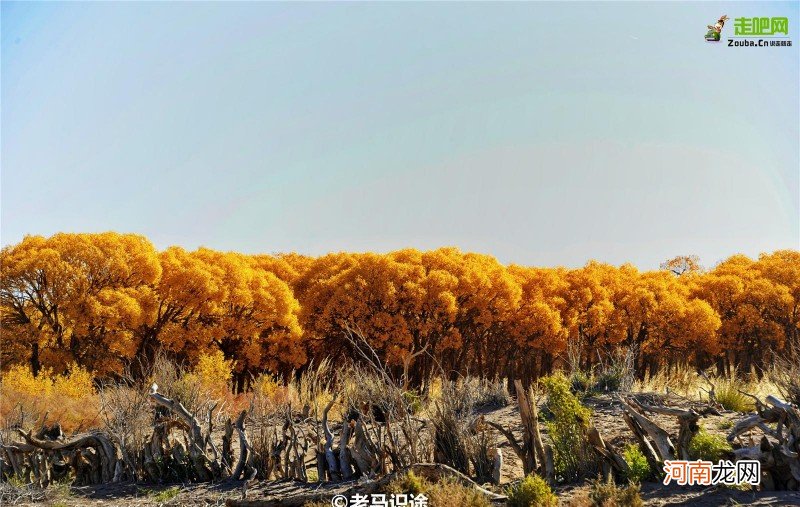 10月最佳旅行目的地 十月份去哪里旅游好