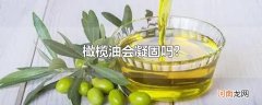 橄榄油会凝固吗?