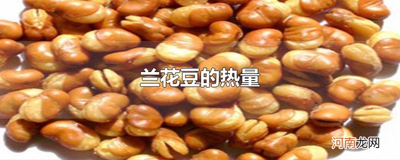 兰花豆的热量