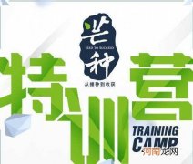 招收学员扶持创业 创业孵化从业人员培训