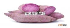 紫薯是地瓜吗