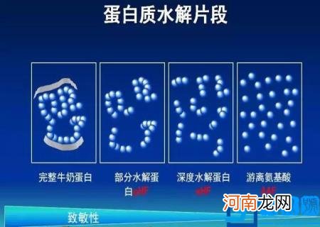 纽康特有深度水解奶粉吗 纽康特深度水解奶粉怎么样