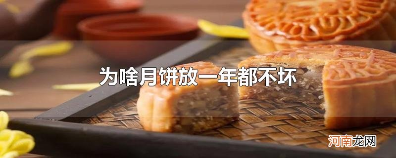 为啥月饼放一年都不坏