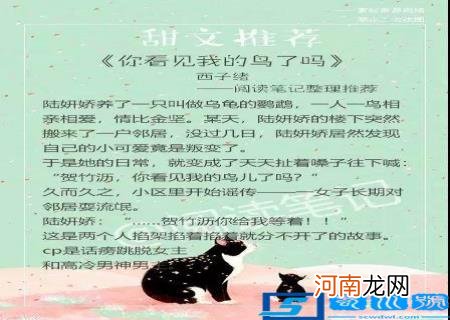 肉多的言情小说甜宠文古言折腰