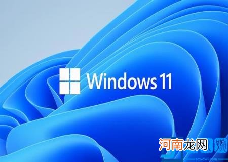 Win11检测工具合格 但是更新系统显示不满足