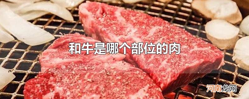 和牛是哪个部位的肉