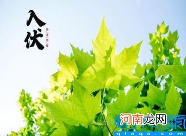 今年什么时候入伏是哪一天 2022年三伏天时间表出炉