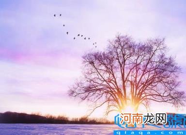 小雪是农历几月几日 小雪有什么习俗吗