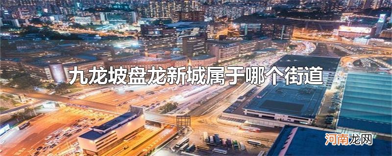 九龙坡盘龙新城属于哪个街道