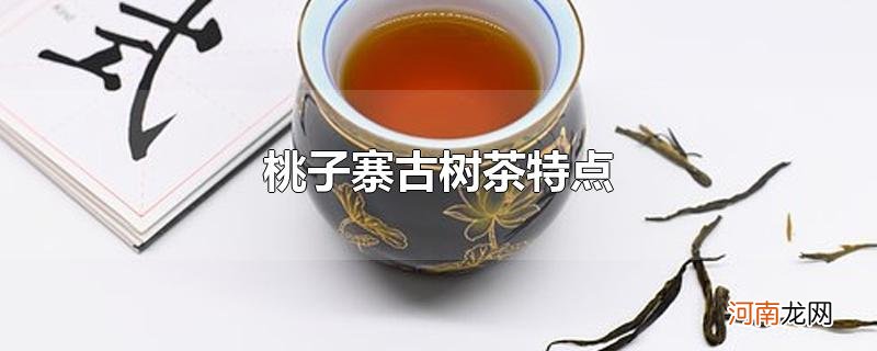 桃子寨古树茶特点