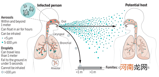 飞沫传播的近距离是多少 飞沫传播的近距离是多少um
