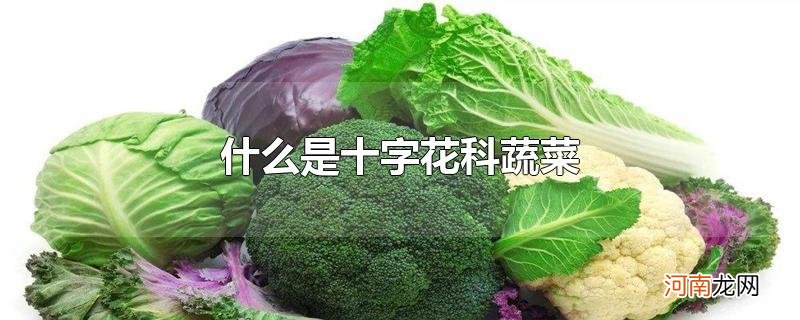 什么是十字花科蔬菜