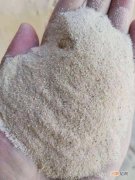 沙子多少钱一吨 沙子多少钱一吨2022年价格表