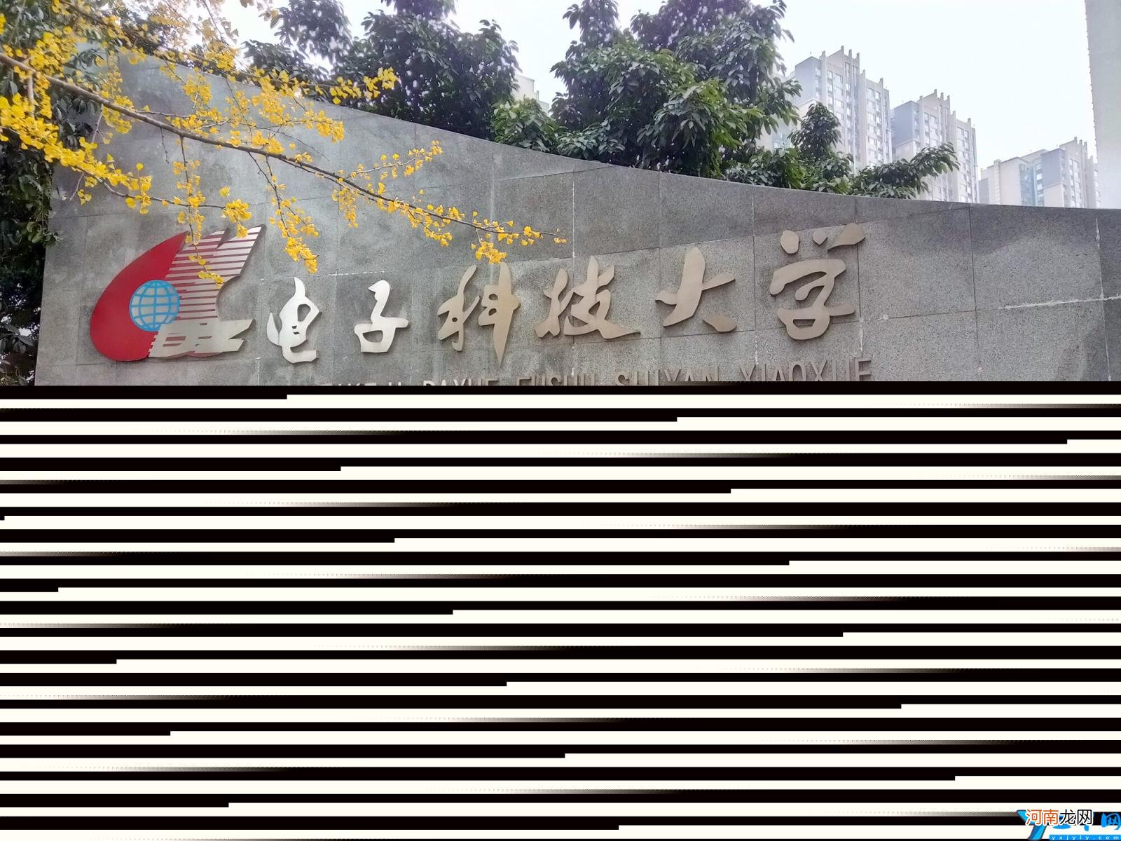 成都成华区小学划片范围 成华区小学排名一览表