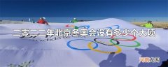 二零二二年北京冬奥会设有多少个大项