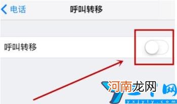 苹果手机怎么设置呼叫转移 苹果手机怎么设置呼叫转移到另一个手机上