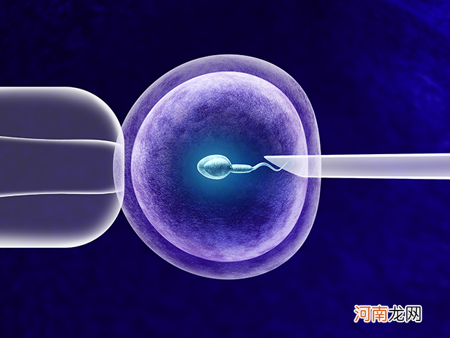 人工受孕多少费用 人工受孕多少钱一次
