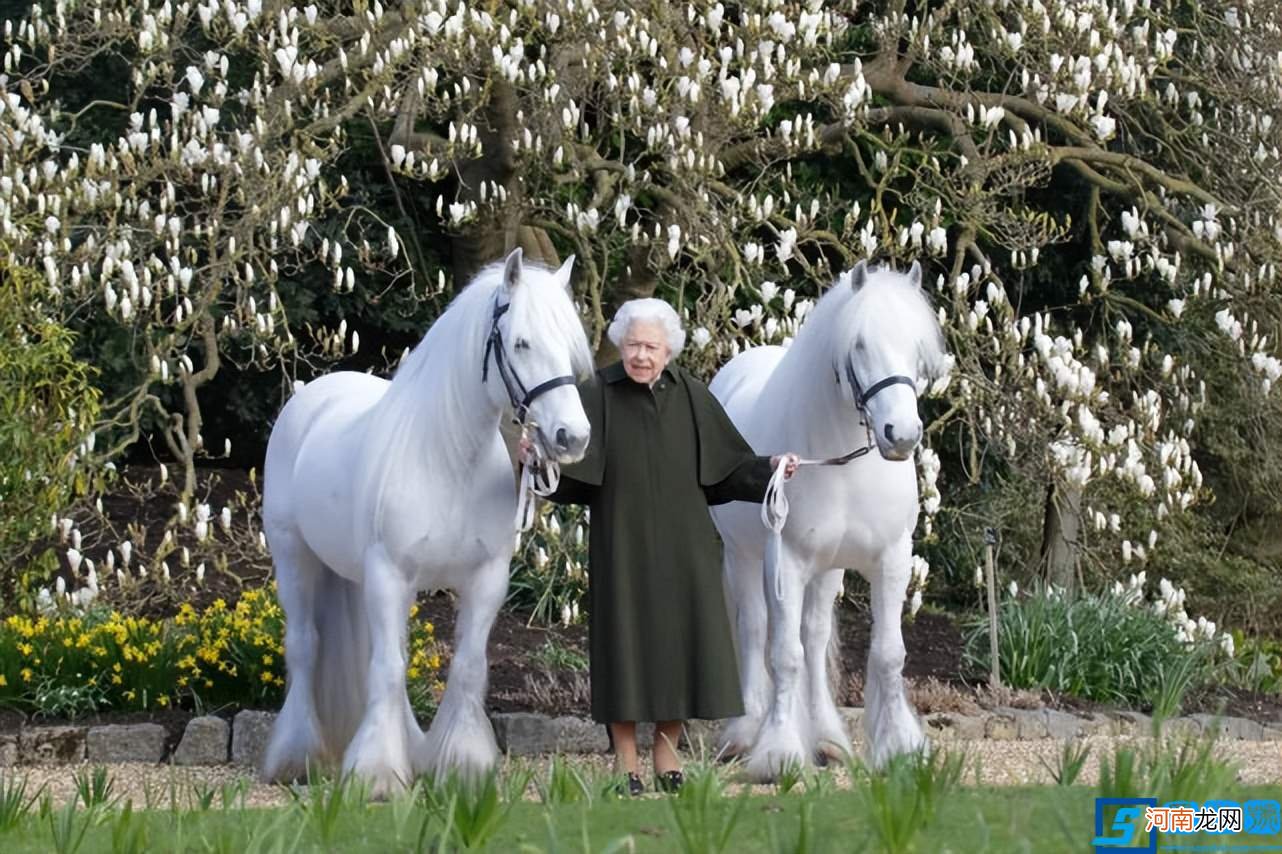 伊丽莎白二世多少岁？英女王分享96岁生日照