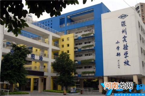 深圳市翠竹小学上榜第二代表学校 深圳市公立小学排名榜