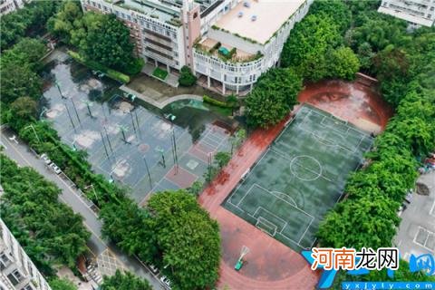 深圳市翠竹小学上榜第二代表学校 深圳市公立小学排名榜