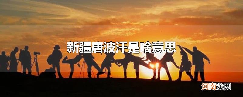 新疆唐波汗是啥意思