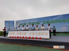 宜阳县回乡创业政策扶持 宜阳县创业创新综合服务中心