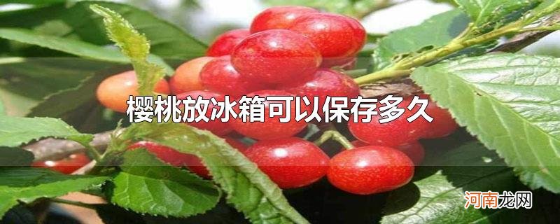 樱桃放冰箱可以保存多久