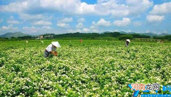 广西地理位置 广西在哪中国地图