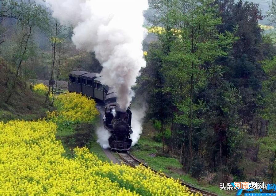 一日游最佳线路 乐山大佛旅游攻略路线