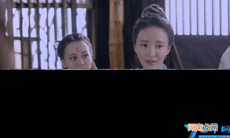 伪装者剧情介绍简介 伪装者电视剧