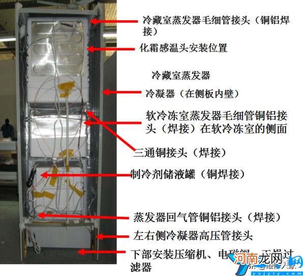 档位调节解析演示说明书 格力晶弘冰箱怎么调温度图片