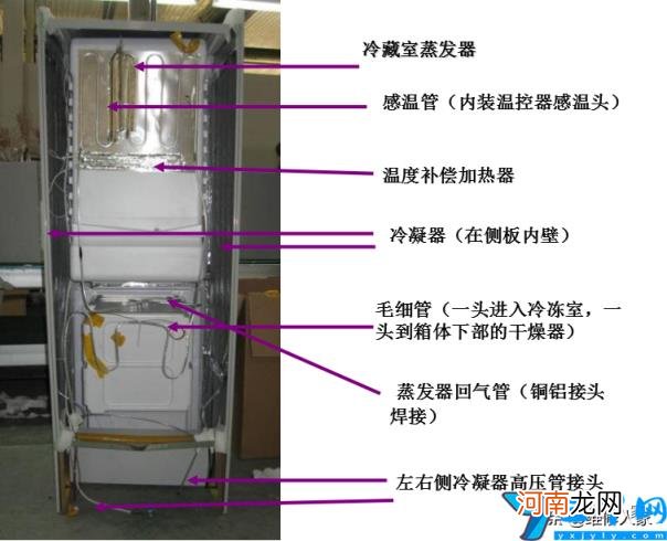 档位调节解析演示说明书 格力晶弘冰箱怎么调温度图片