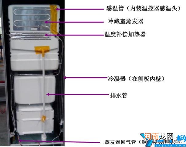 档位调节解析演示说明书 格力晶弘冰箱怎么调温度图片