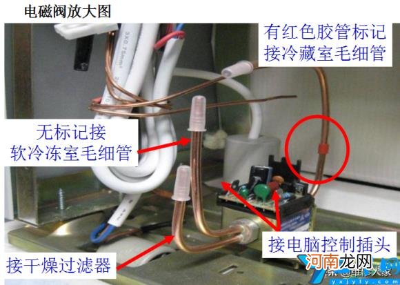 档位调节解析演示说明书 格力晶弘冰箱怎么调温度图片