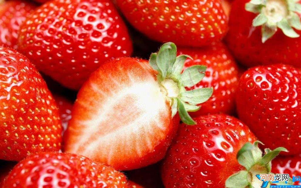 保存草莓新鲜的方法 草莓如何保存新鲜