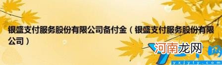 银盛支付服务股份有限公司备付金 银盛支付服务股份有限公司备付金0.01元