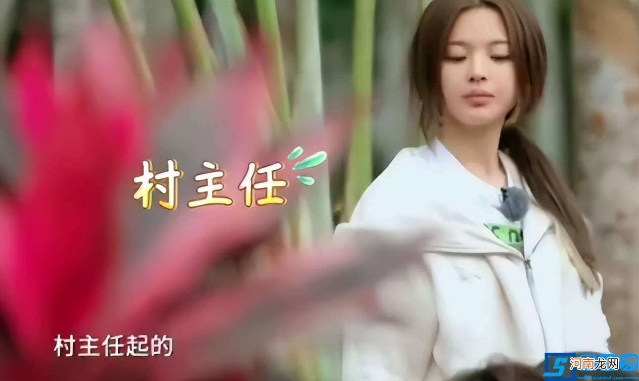 她的逆袭，比你想象得更精彩 杨超越个人资料介绍