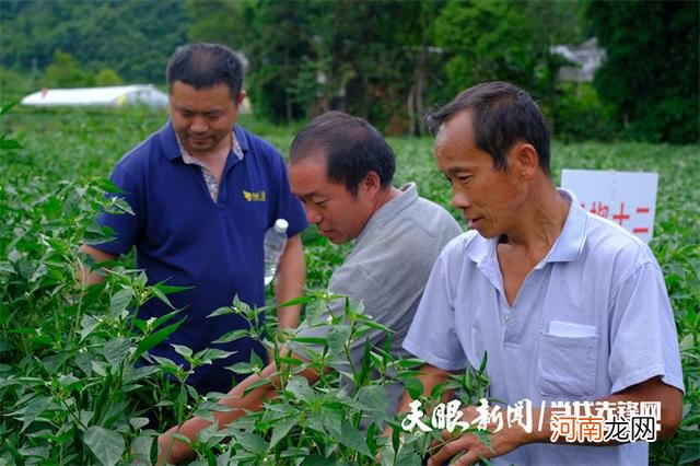 贵州农村自主创业扶持 贵州农村自主创业扶持政策